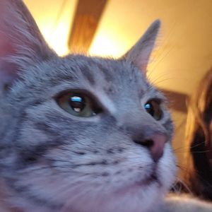 Meet your Posher, Serena